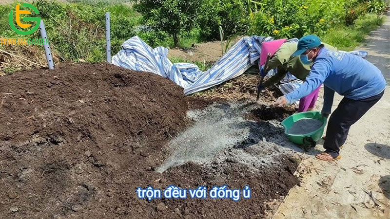 Hướng dẫn cách ủ phân bò nhanh hoai mục với trichoderma 9 Hướng dẫn cách ủ phân bò nhanh hoai mục với trichoderma
