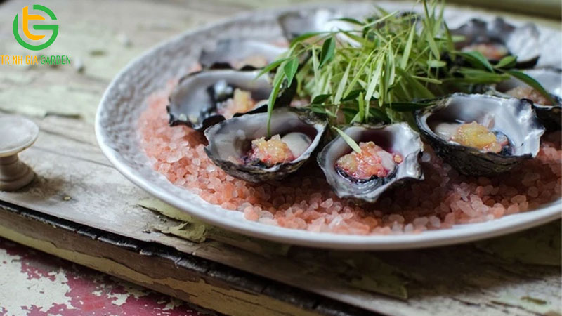 Khám phá 3 loại chanh đắt nhất thế giới hiện nay