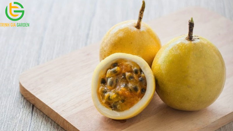 Giống chanh dây vàng ngọt: đặc điểm và công dụng đối với sức khỏe 7 Giống chanh dây vàng ngọt: đặc điểm và công dụng đối với sức khỏe