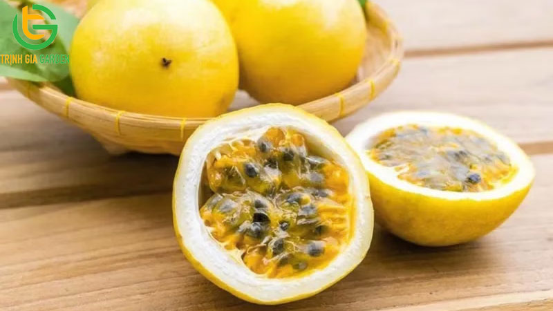 Giống chanh dây vàng ngọt: đặc điểm và công dụng đối với sức khỏe 8 Giống chanh dây vàng ngọt: đặc điểm và công dụng đối với sức khỏe