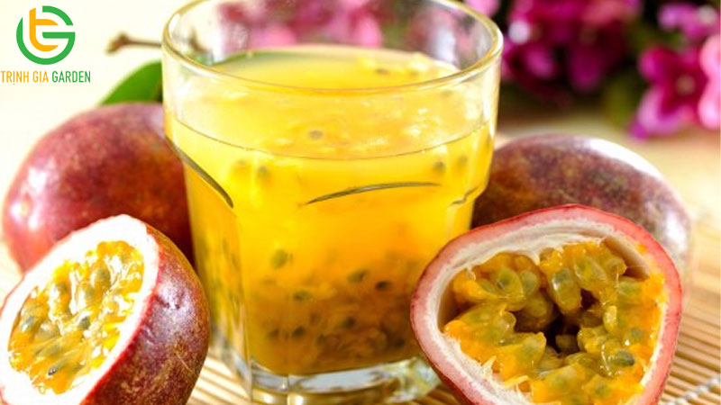 So sánh chanh dây vàng và chanh dây tím loại nào tốt hơn? 9 So sánh chanh dây vàng và chanh dây tím loại nào tốt hơn?