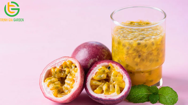 So sánh chanh dây vàng và chanh dây tím loại nào tốt hơn? 10 So sánh chanh dây vàng và chanh dây tím loại nào tốt hơn?