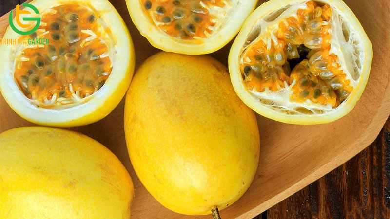 Giống chanh dây vàng ngọt: đặc điểm và công dụng đối với sức khỏe 6 Giống chanh dây vàng ngọt: đặc điểm và công dụng đối với sức khỏe