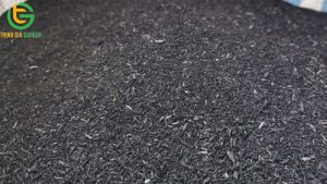 tac dung cua tro trau voi cay trong