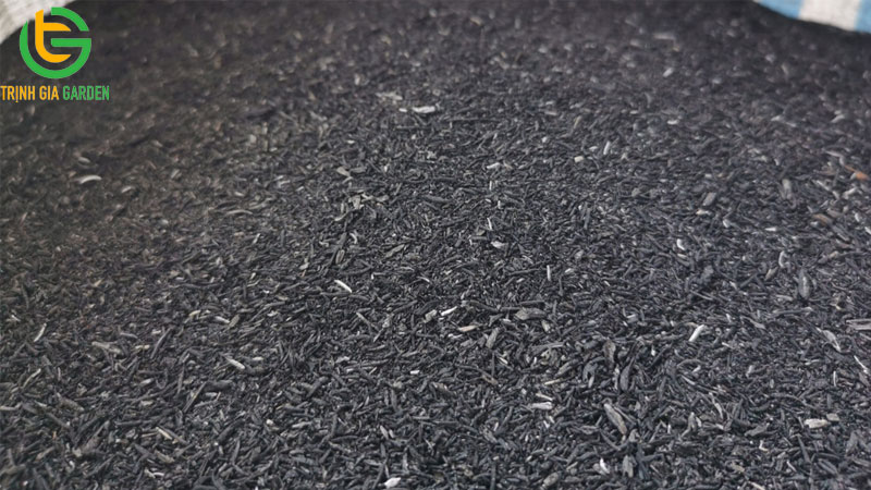 Tác dụng của tro trấu với cây trồng và cách trộn chuẩn tỷ lệ 4 Tác dụng của tro trấu với cây trồng và cách trộn chuẩn tỷ lệ