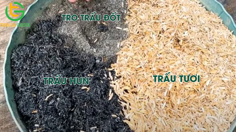 Công dụng trộn vỏ trấu vào đất để trồng cây và cách xử lý trấu tươi 10 Công dụng trộn vỏ trấu vào đất để trồng cây và cách xử lý trấu tươi