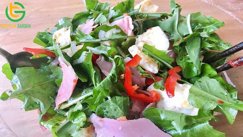 15 tác dụng của cây bồ công anh và cách sử dụng 21 15 tác dụng của cây bồ công anh và cách sử dụng