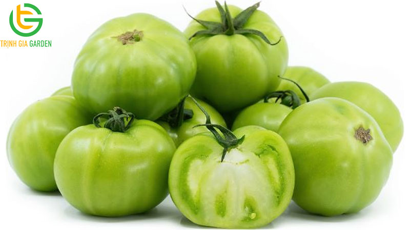 TOP những loại trái cây chó không nên ăn 14 TOP những loại trái cây chó không nên ăn