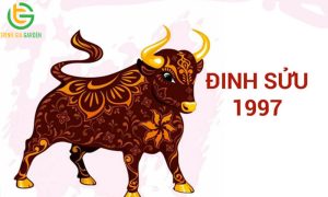 tuoi 1997 hop cay gi de ban lam viec