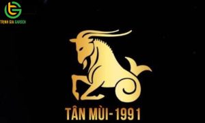 tuoi tan mui 1991 hop cay gi de ban lam viec