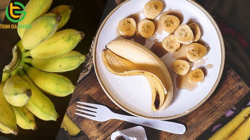 Chuối tây có phải là chuối sứ không? Cách phân biệt