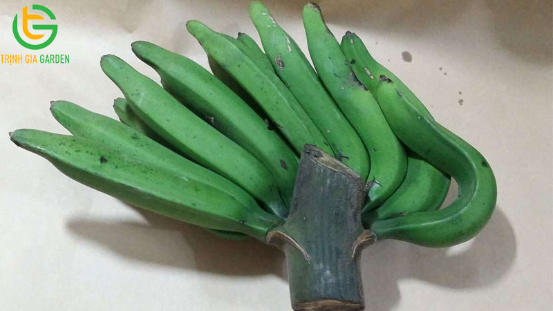 Chuối thanh tiêu: giống chuối độc lạ được nhiều người săn tìm 8 Chuối thanh tiêu: giống chuối độc lạ được nhiều người săn tìm