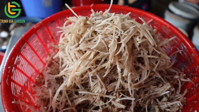 Củ chuối tây và món canh đặc sản xứ Đại Đồng 5 Củ chuối tây và món canh đặc sản xứ Đại Đồng