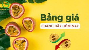 gia chanh day