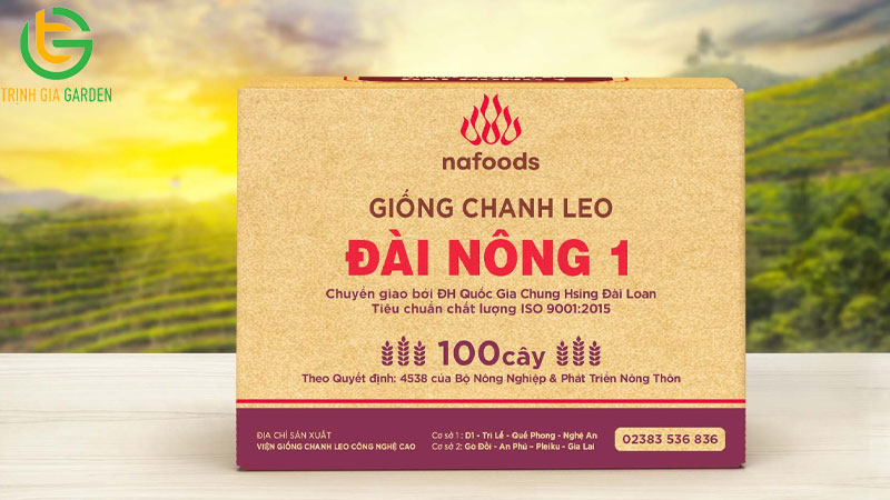 Review giống chanh dây Nafood và Công ty cổ phần chanh leo Nafoods 6 Review giống chanh dây Nafood và Công ty cổ phần chanh leo Nafoods