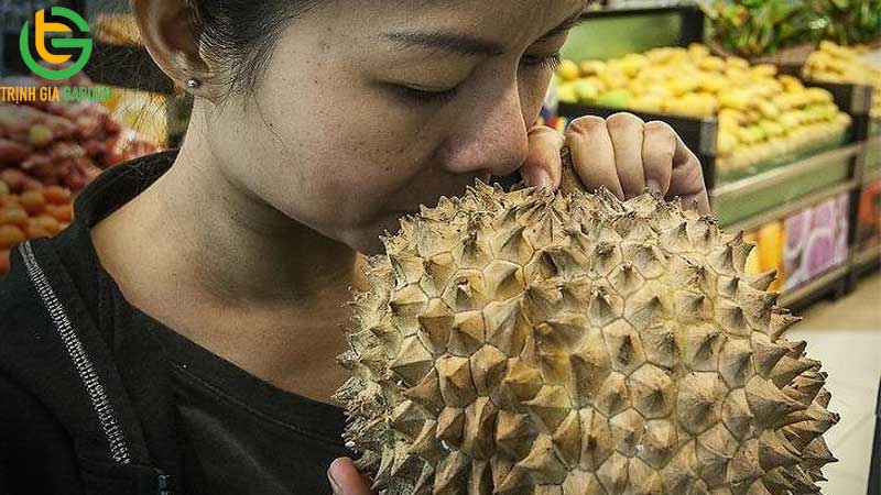 Cách chọn sầu riêng ngon đúng chuẩn và nhiều múi 10 Cách chọn sầu riêng ngon đúng chuẩn và nhiều múi