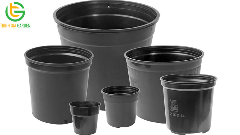 TOP 5 chậu trồng rau sân thượng được ưa chuộng nhất 2026 12 TOP 5 chậu trồng rau sân thượng được ưa chuộng nhất 2026