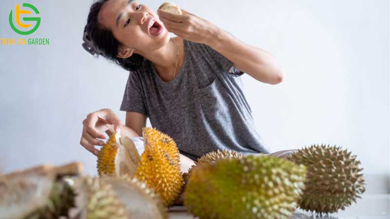 diem danh 10 tac dung cua sau rieng voi suc khoe 9