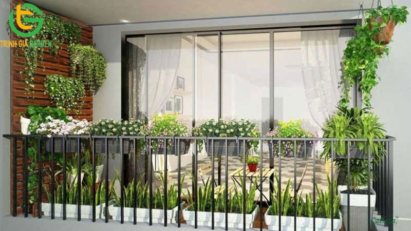 5 mẫu khay nhựa trồng cây treo tường, ban công đẹp và giá rẻ 14 khay nhua trong cay 5