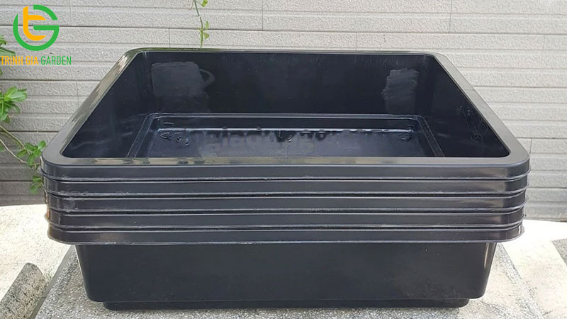 TOP 3 địa chỉ mua bán thùng nhựa trồng rau giá rẻ tại Tp.HCM 6 TOP 3 địa chỉ mua bán thùng nhựa trồng rau giá rẻ tại Tp.HCM
