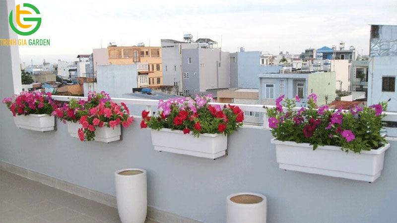 5+ mẫu khay nhựa trồng hoa đẹp, bền và giá rẻ 7 5+ mẫu khay nhựa trồng hoa đẹp, bền và giá rẻ