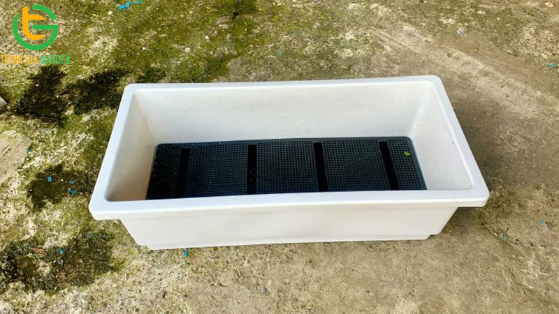 Hướng dẫn cách trồng rau trong thùng nhựa xanh tốt 6 Hướng dẫn cách trồng rau trong thùng nhựa xanh tốt