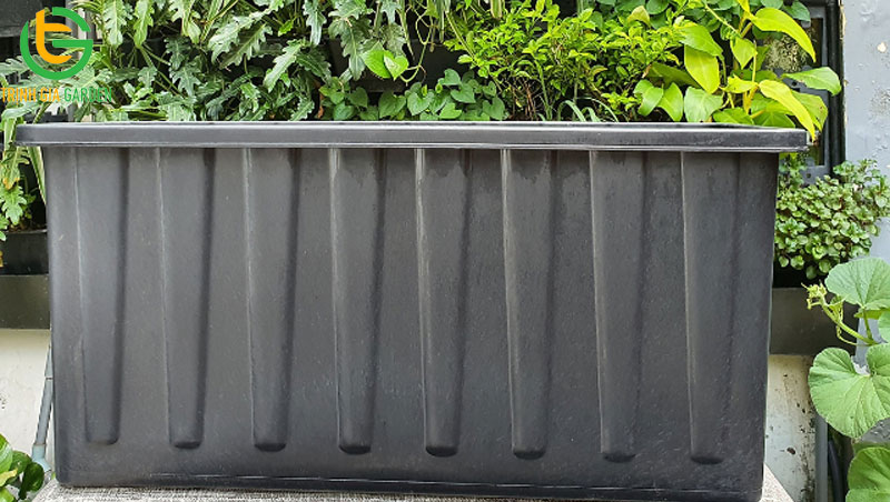 Một số kích thước khay nhựa trồng rau phổ biến nhất hiện nay 8 Một số kích thước khay nhựa trồng rau phổ biến nhất hiện nay