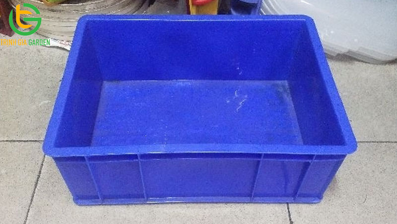 Một số kích thước khay nhựa trồng rau phổ biến nhất hiện nay 6 Một số kích thước khay nhựa trồng rau phổ biến nhất hiện nay