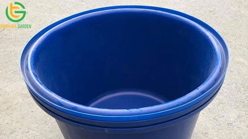 TOP 3 mẫu thùng nhựa trồng cây ăn trái lớn và bền bỉ 6 TOP 3 mẫu thùng nhựa trồng cây ăn trái lớn và bền bỉ