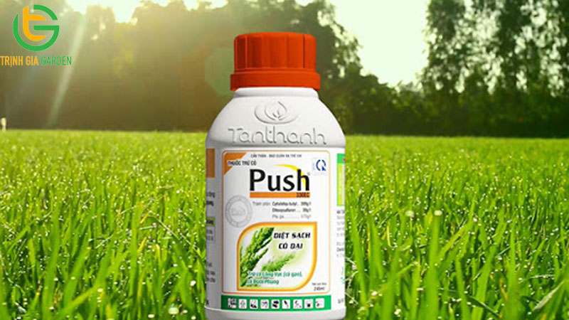 TOP 6 loại thuốc diệt cỏ không hại cây trồng tốt nhất hiện nay 9 TOP 6 loại thuốc diệt cỏ không hại cây trồng tốt nhất hiện nay