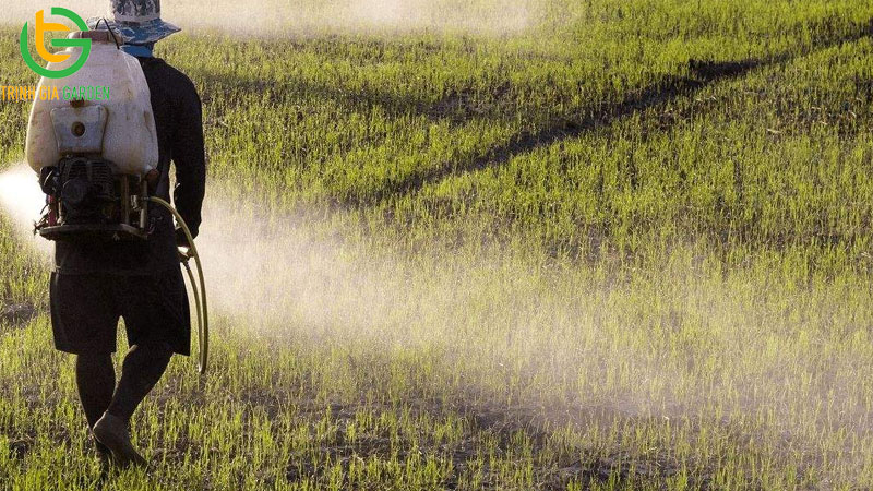 Công dụng và giá bán thuốc trừ cỏ lưu dẫn glyphosate 7 Công dụng và giá bán thuốc trừ cỏ lưu dẫn glyphosate