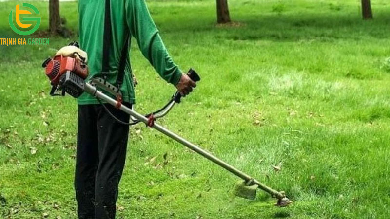 Công dụng và giá bán thuốc trừ cỏ lưu dẫn glyphosate 8 Công dụng và giá bán thuốc trừ cỏ lưu dẫn glyphosate