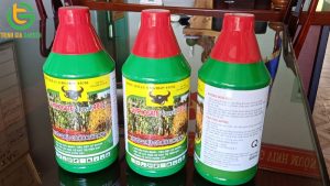 thuoc tru co luu dan glyphosate