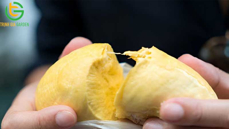 TOP 7 tác dụng của sầu riêng với phụ nữ 10 TOP 7 tác dụng của sầu riêng với phụ nữ