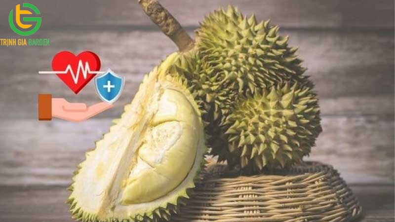 TOP 7 tác dụng của sầu riêng với phụ nữ 12 TOP 7 tác dụng của sầu riêng với phụ nữ
