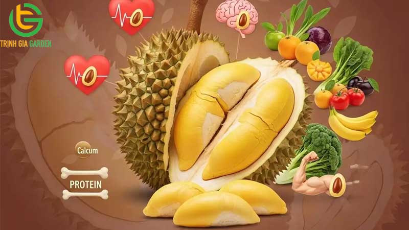 top 7 tac dung cua sau rieng voi phu nu 4